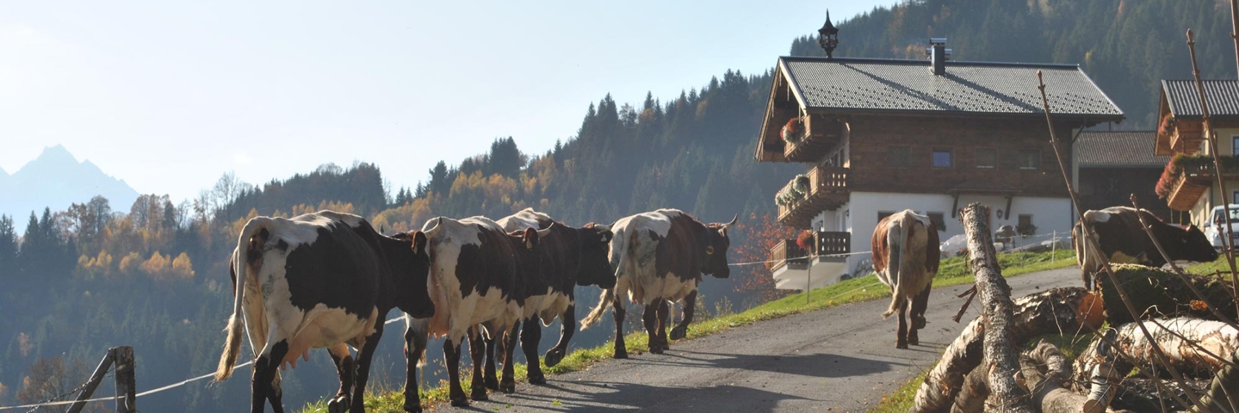 Urlaub auf dem Bauernhof